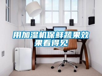 知识百科用加湿机保鲜蔬果效果看得见