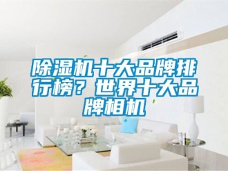 企业新闻除湿机十大品牌排行榜？世界十大品牌相机