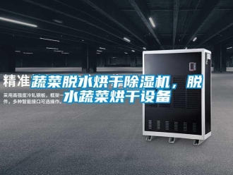 知识百科蔬菜脱水烘干除湿机，脱水蔬菜烘干设备