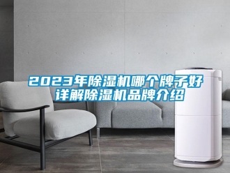 企业新闻2023年除湿机哪个牌子好 详解除湿机品牌介绍