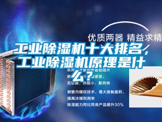 常见问题工业除湿机十大排名，工业除湿机原理是什么？