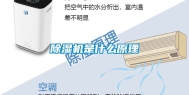 除湿机是什么原理