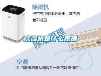 行业新闻除湿机是什么原理