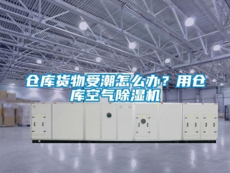 企业新闻仓库货物受潮怎么办？用仓库空气除湿机