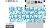 除湿机工作原理是什么？除湿机是否是应对潮湿的最好办法（有哪些品牌推荐）？