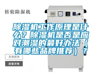 企业新闻除湿机工作原理是什么？除湿机是否是应对潮湿的最好办法（有哪些品牌推荐）？