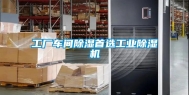 工厂车间除湿首选工业除湿机