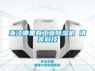 常见问题浙江哪里有工业除湿机 清爽科技