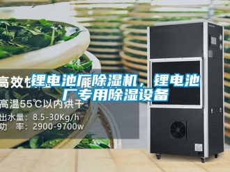 行业新闻锂电池厂除湿机，锂电池厂专用除湿设备