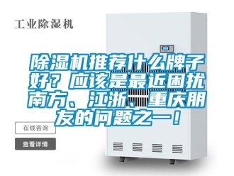 行业新闻除湿机推荐什么牌子好？应该是最近困扰南方、江浙、重庆朋友的问题之一！