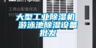 大型工业除湿机 游泳池除湿设备批发
