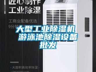 常见问题大型工业除湿机 游泳池除湿设备批发