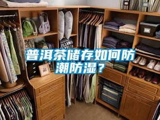 常见问题普洱茶储存如何防潮防湿？