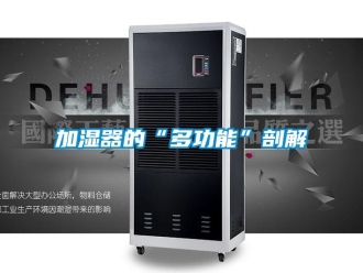 行业新闻加湿器的“多功能”剖解