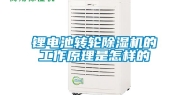 锂电池转轮除湿机的工作原理是怎样的