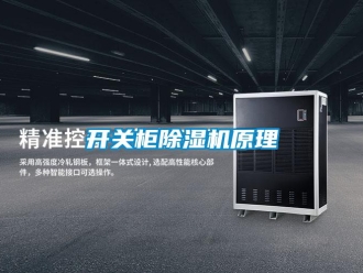 行业新闻开关柜除湿机原理