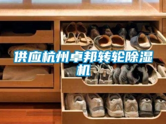 常见问题供应杭州卓邦转轮除湿机