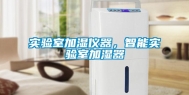 实验室加湿仪器，智能实验室加湿器