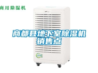 行业新闻商都县地下室除湿机销售点