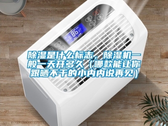 行业新闻除湿是什么标志，除湿机一般一天开多久（哪款能让你跟晒不干的小内内说再见）