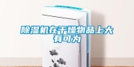 除湿机在干燥物品上大有可为