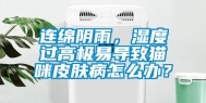 连绵阴雨，湿度过高极易导致猫咪皮肤病怎么办？