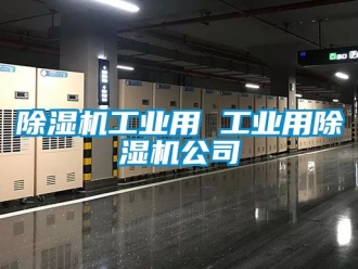 常见问题除湿机工业用 工业用除湿机公司