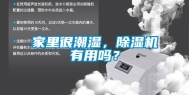 家里很潮湿，除湿机有用吗？