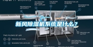 新风除湿机系统是什么？