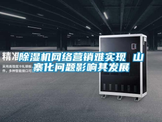 常见问题除湿机网络营销难实现 山寨化问题影响其发展