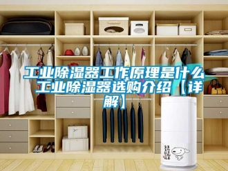 行业新闻工业除湿器工作原理是什么 工业除湿器选购介绍【详解】