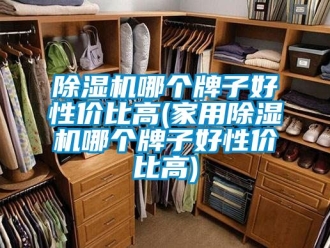 常见问题除湿机哪个牌子好性价比高(家用除湿机哪个牌子好性价比高)