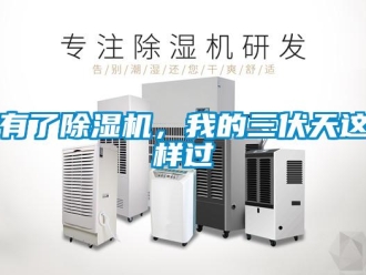 行业新闻有了除湿机，我的三伏天这样过