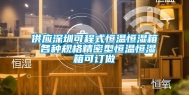 供应深圳可程式恒温恒湿箱 各种规格精密型恒温恒湿箱可订做