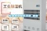 配电房工业除湿机_重复