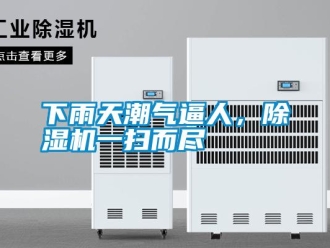 知识百科下雨天潮气逼人，除湿机一扫而尽