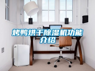 行业新闻烤鸭烘干除湿机功能介绍