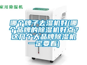 企业新闻哪个牌子去湿机好(哪个品牌的除湿机好点？这几个大品牌除湿机一定要看)