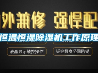 知识百科恒温恒湿除湿机工作原理