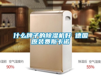 行业新闻什么牌子的除湿机好 德国原装费斯卡诺