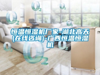 知识百科恒温恒湿机厂家-湖北高天(在线咨询)-广西恒温恒湿机