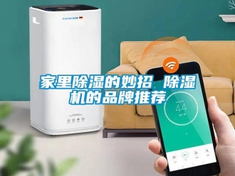 企业新闻家里除湿的妙招 除湿机的品牌推荐