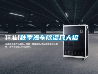 行业新闻秋季汽车除湿几大招