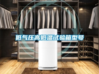 常见问题低气压高低温试验箱型号