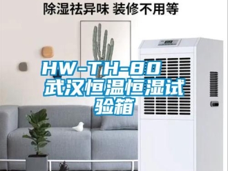 常见问题HW-TH-80  武汉恒温恒湿试验箱