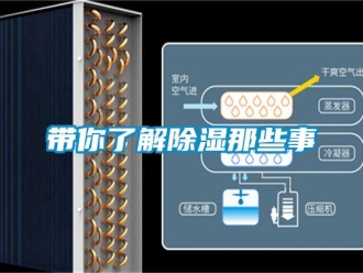 企业新闻带你了解除湿那些事