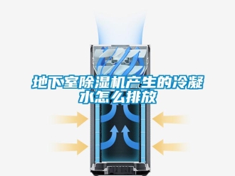 行业新闻地下室除湿机产生的冷凝水怎么排放