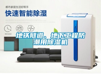 企业新闻地铁隧道、地下工程防潮用除湿机