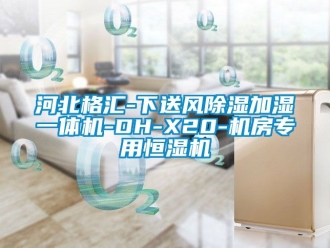 知识百科河北格汇-下送风除湿加湿一体机-DH-X20-机房专用恒湿机