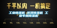 工业除湿机 吊顶除湿机 工业专用除湿机